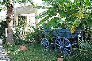 Szálloda Emily Rose