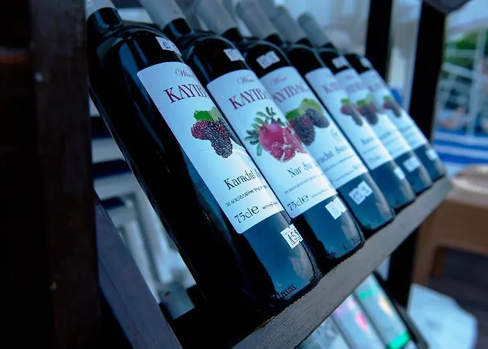 Hotel Emily Rose Kemer