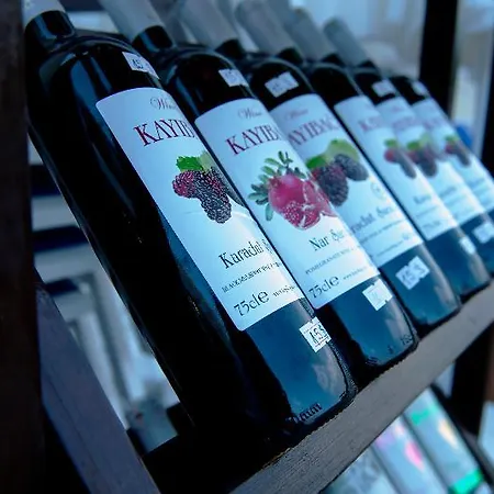 Hotel Emily Rose Kemer